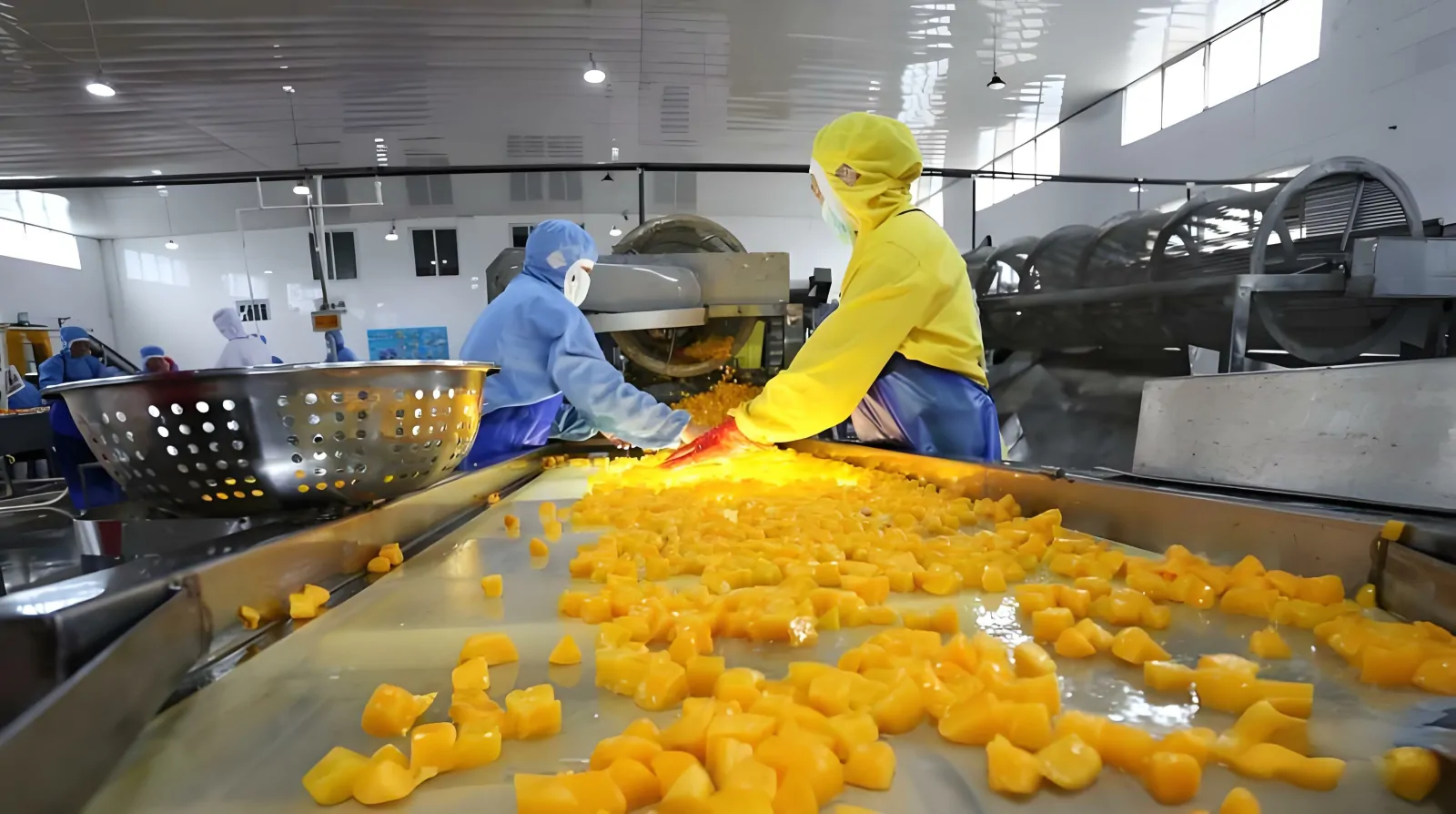 Food Processing Industry